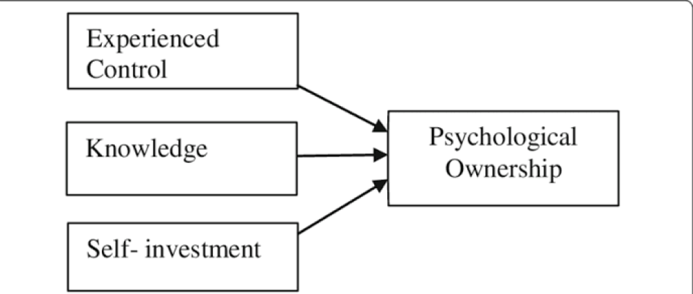 The Psychology of Ownership: Why Owning Changes the Way We Think