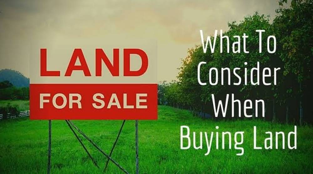 What to Check Before Buying Land in Kenya