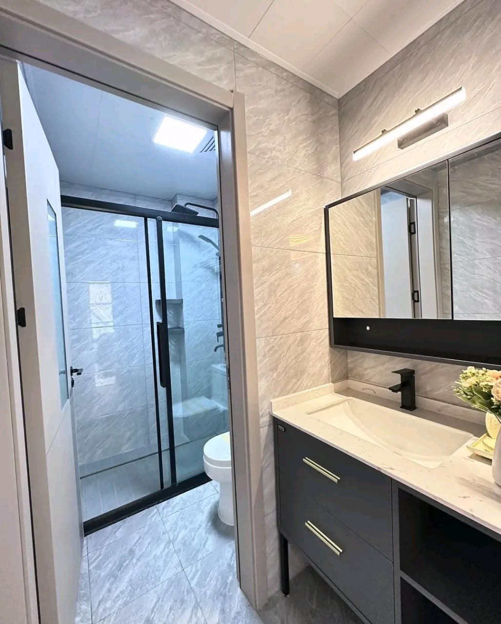 2 and 3-Bedroom image 8