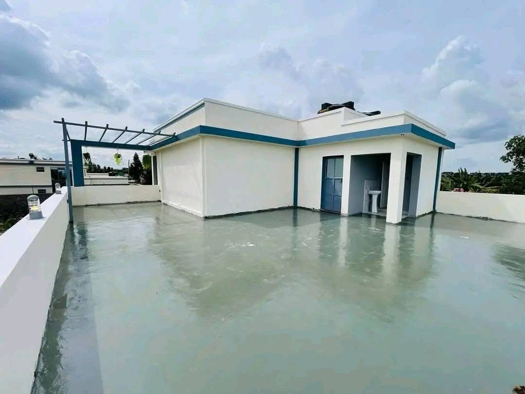 4-bedroom and DSQ image 6