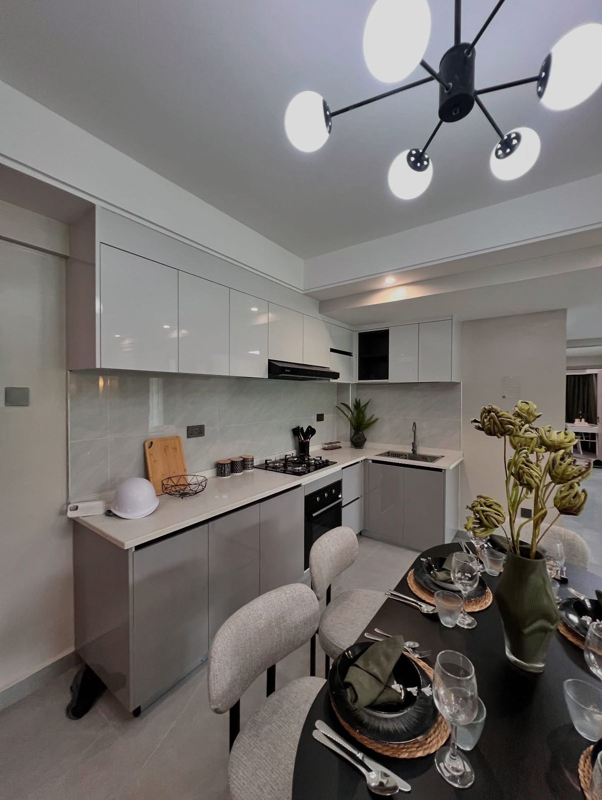 2 and 3 Apartment for Sale image 3
