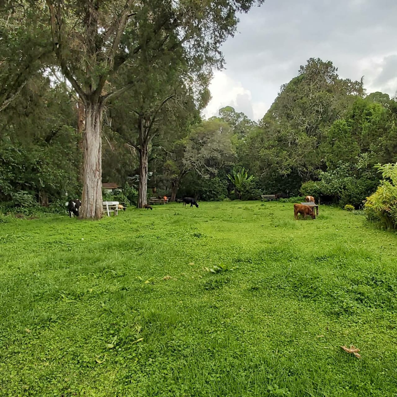 Land for sale image 9